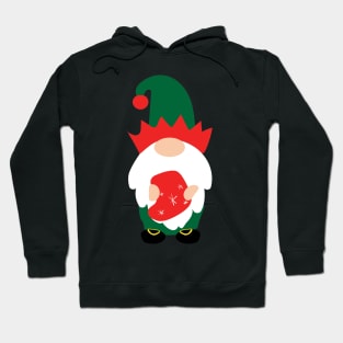 Oliver the holiday gnome Hoodie